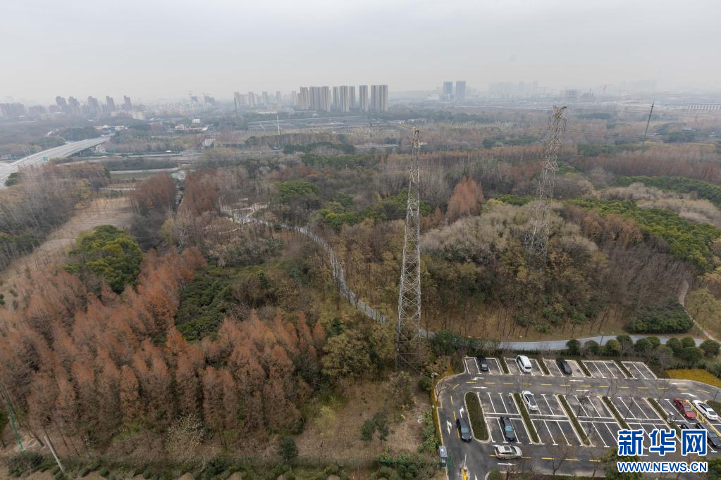 <strong>上海首批环城生态公园建成开放</strong>