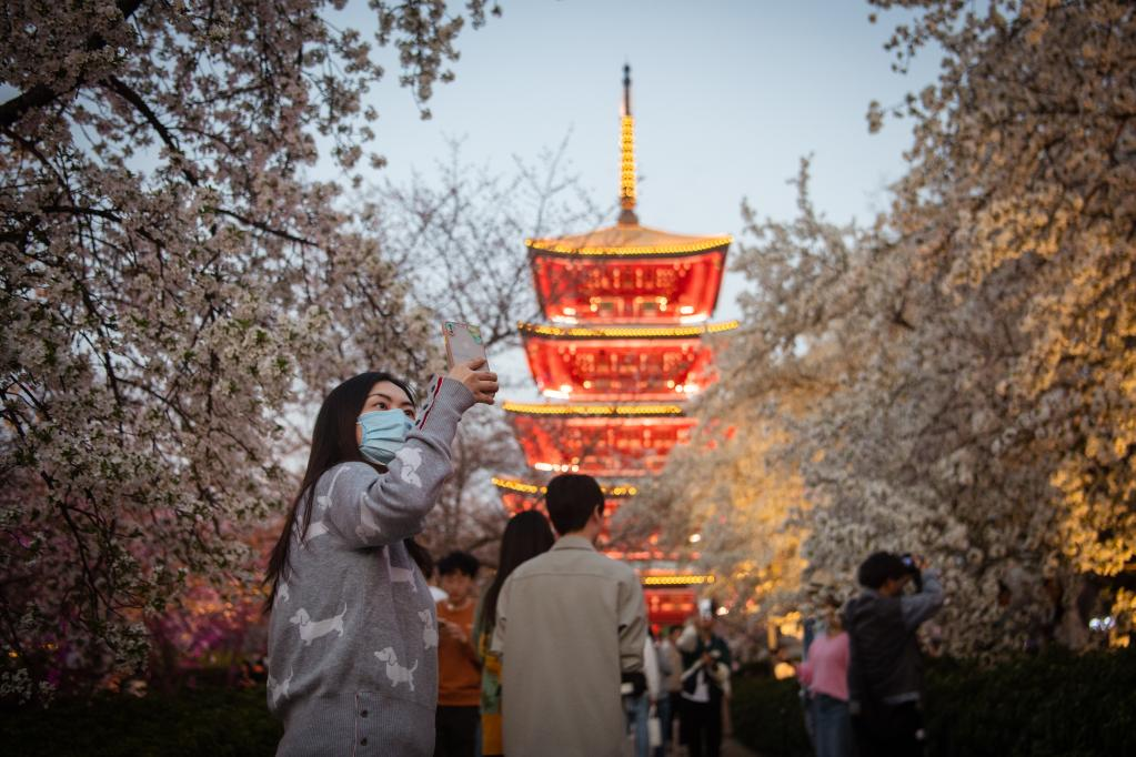 新华全媒+|武汉：“赏花经济”促旅游市场人气攀升