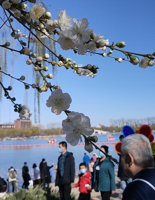 提振信心活力澎湃 国内消费市场“春意浓”