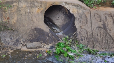 生活污水直排沟渠，水体发黑散发难闻味道