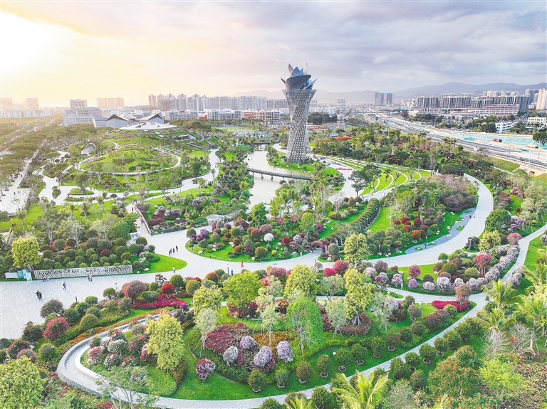 海南首座三角梅科研博览型公园建成开放