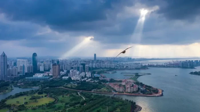 新风口来临？海南自贸港封关前这几个潜在行业商机不容错过！